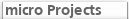 micro Projects